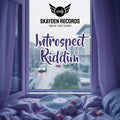 Introspect Riddim